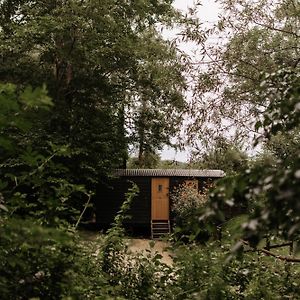 The Fish Hotel